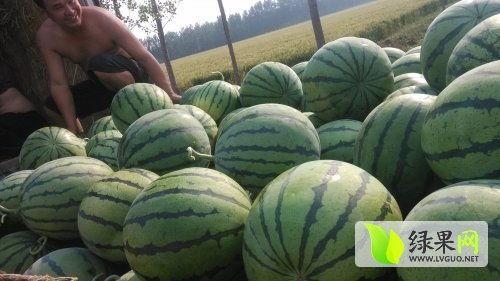 吃瓜最新事件爆料菏泽,揭秘背后惊人真相 第3张 吃瓜最新事件爆料菏泽,揭秘背后惊人真相 第3张